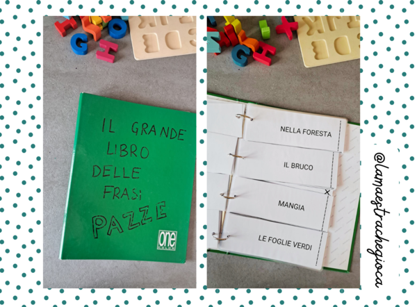 Il grande libro delle frasi pazze