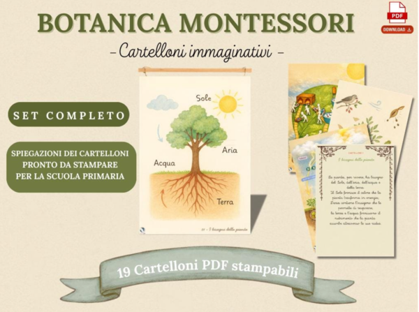Botanica Montessori | 19 chart | Set completo 19 PDF Stampabile | 6-10 anni | Cartelloni impressionistici immaginativi bisogni della pianta