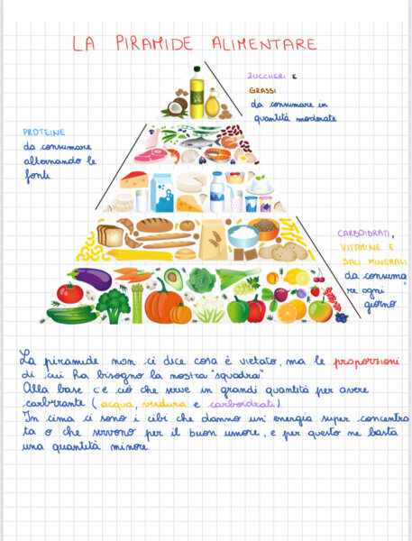 La nutrizione e l’apparato digerente