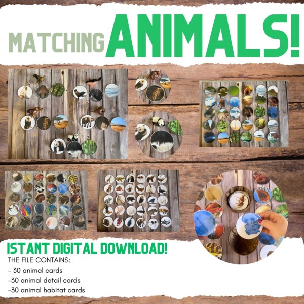 Associazione/Matching animali, dettagli e habitat