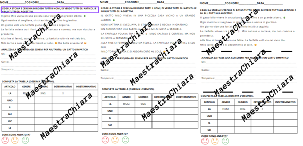 Verifica o esercitazione su articoli, nomi e aggettivi qualificativi classe seconda in più versioni.