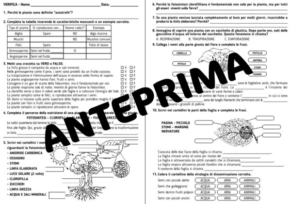 SCIENZE: VERIFICA SULLE PIANTE CLASSE QUARTA - SCUOLA PRIMARIA