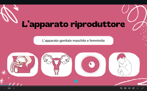 Presentazione apparato riproduttore - classe quinta