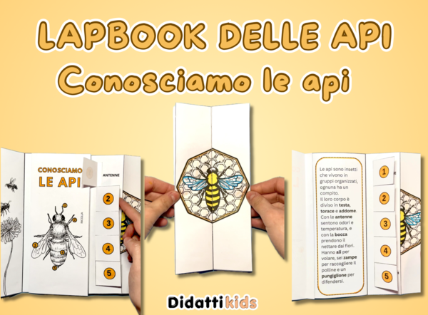 Conosciamo le api lapbook giornata delle api
