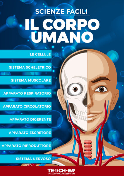 Scienze Facili - Il Corpo Umano