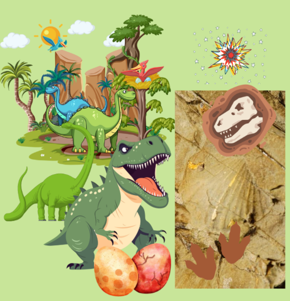 VERIFICA DI STORIA per la CLASSE + VERIFICA SEMPLIFICATA per alunni con PDP e PEI: Origine della Terra, ere geologiche, dinosauri, fossili.