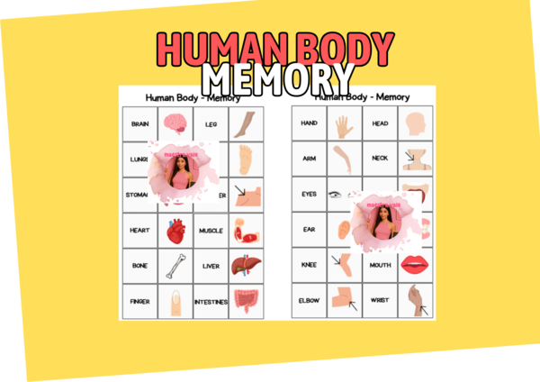 Human Body Memory - Il memory del corpo umano!