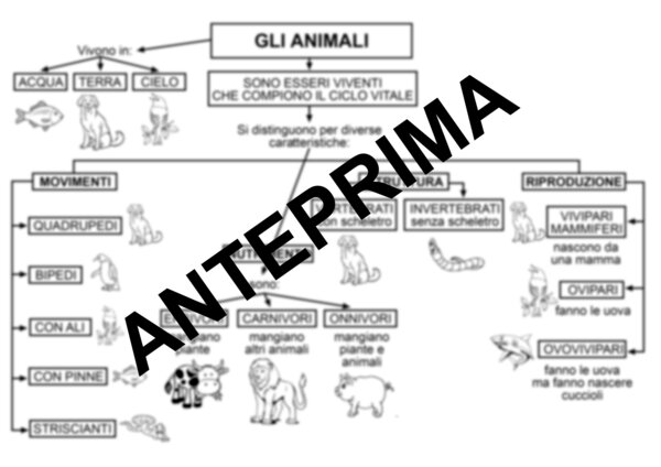 MAPPA DEGLI ANIMALI