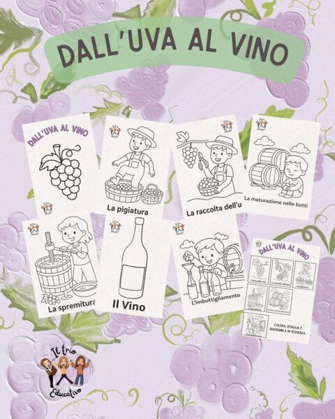 Dall'uva al vino