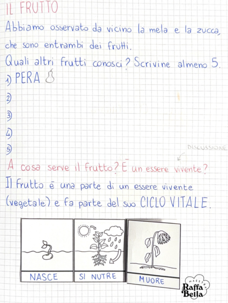 Quaderno SCIENZE - I QUADRIMESTRE - Cl. Seconda