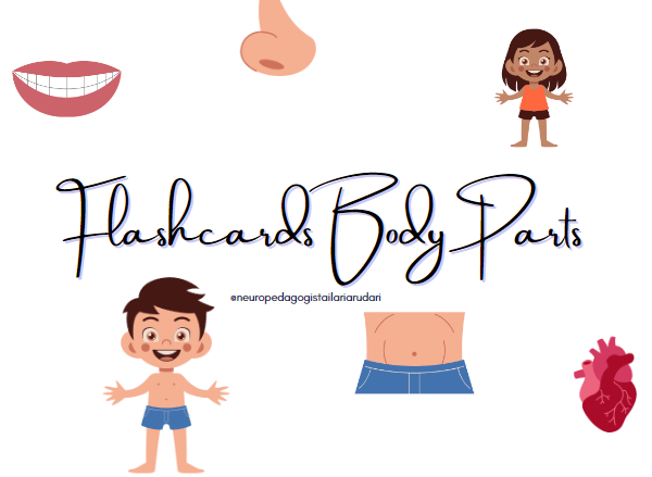Flashcards Body Part