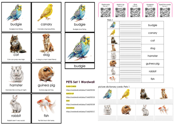 Vocabulary Enrichment Set: Pets SET 1