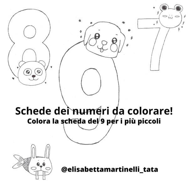 Scheda del 9