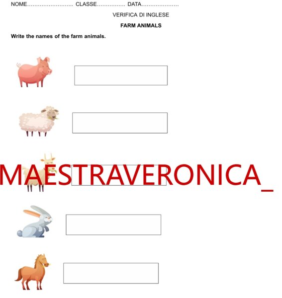 VERIFICA DI INGLESE - GLI ANIMALI