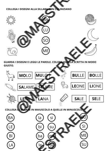 Schede didattiche M-L-S-B