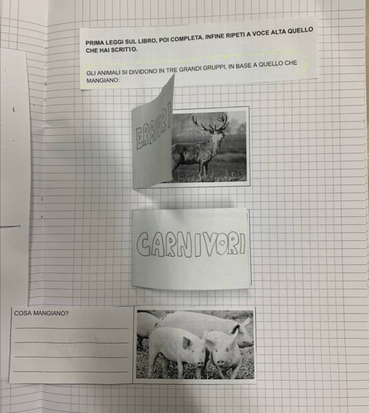 GLI ANIMALI