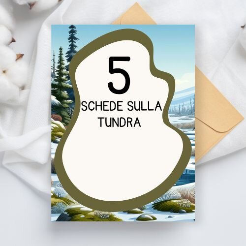 Schede didattiche sulla Tundra