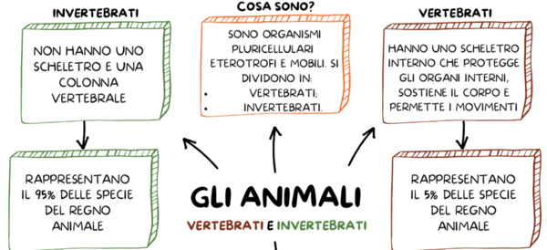 IL REGNO DEGLI ANIMALI