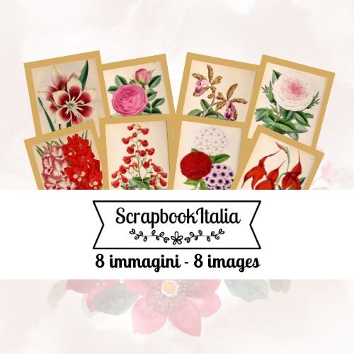 Immagini di Fiori - Stile Vintage