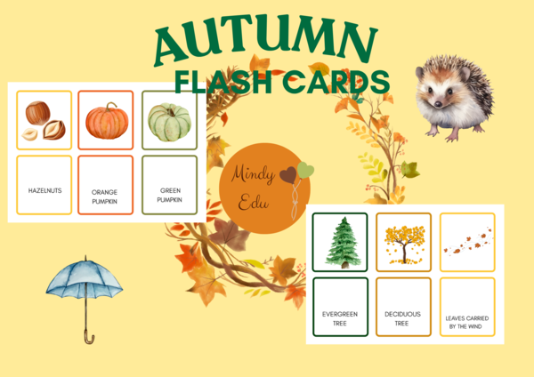 Autumn Flash Cards – Preschool Vocabulary Activities png
