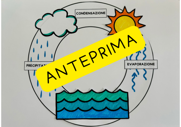 Ciclo dell'acqua - schema