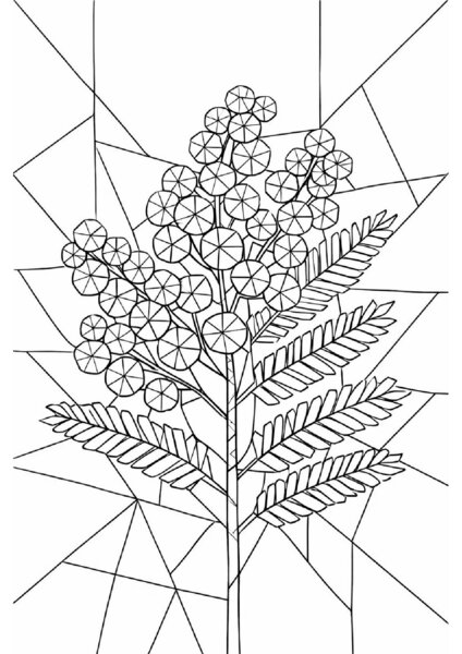 FESTA DELLA DONNA : MIMOSA