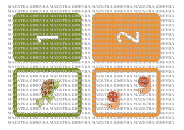Memory dei numeri degli animali