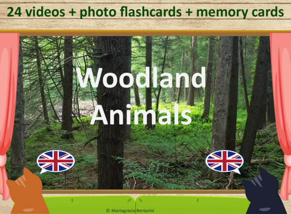 WOODLAND ANIMALS