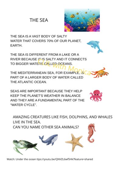 CLIL Geografia classe 3: il mare - CLIL Geography Year 3: the Sea