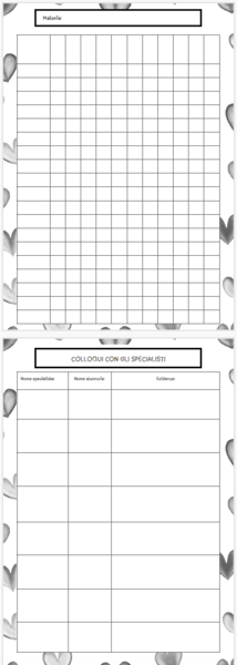 REGISTRO INSEGNANTE