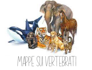 I vertebrati