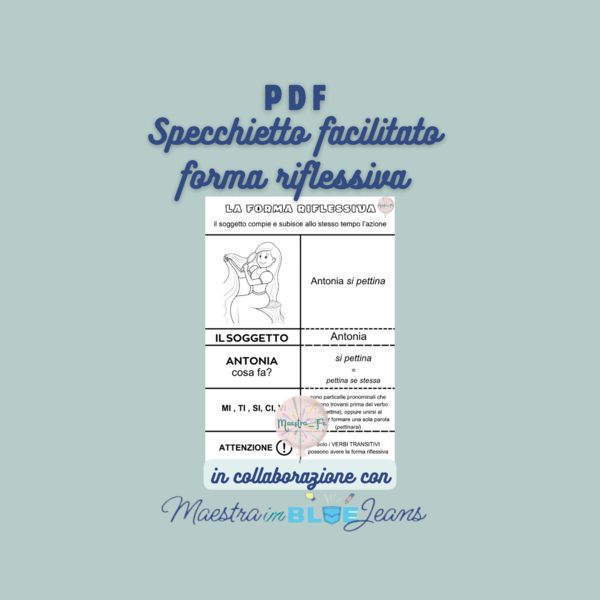 Specchietto forma riflessiva