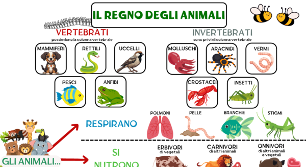 IL REGNO DEGLI ANIMALI - MAPPA COMPLETA
