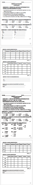 VERIFICA DI CLASSE SECONDA: ARTICOLI