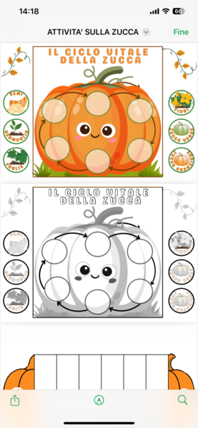 Lapbook zucca
