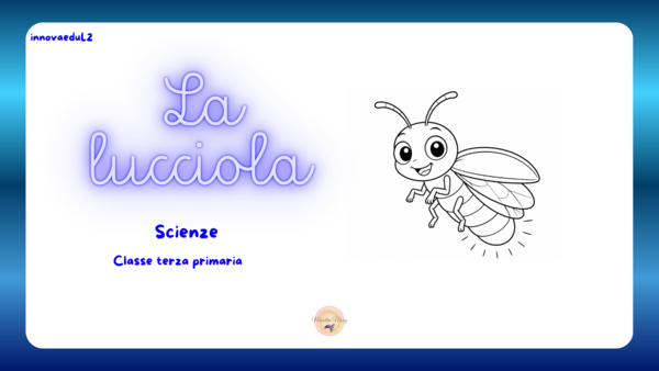 la lucciola. Attività di scienze classe terza