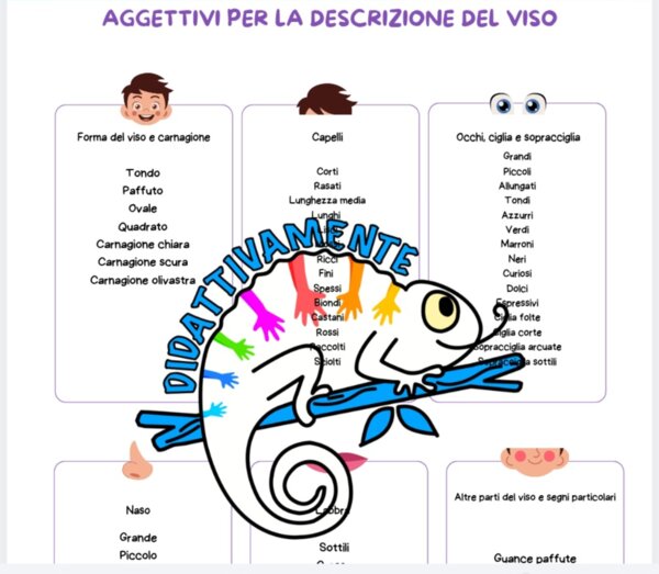 La descrizione del viso