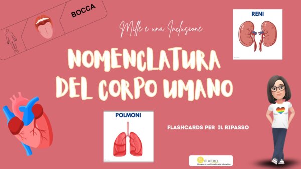KIT DIDATTICO DEL CORPO UMANO