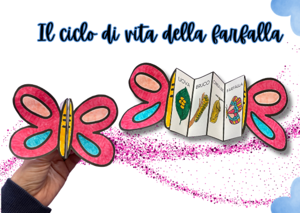 Il ciclo di vita della farfalla
