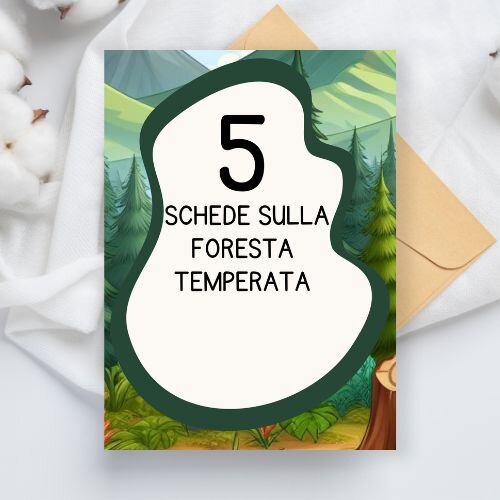 Schede didattiche sulla foresta temperata