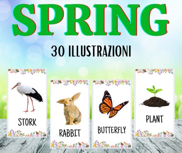 Set primaverile di 30 illustrazioni per imparare l'inglese