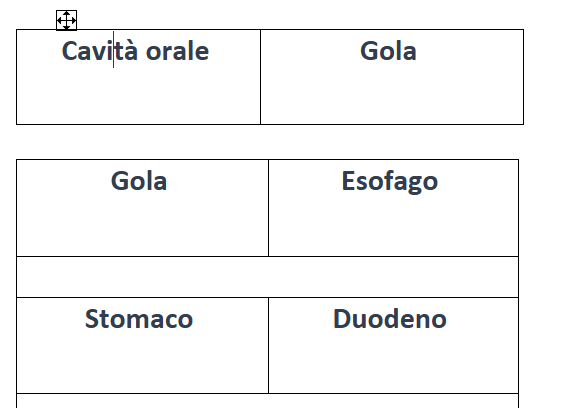 Domino - sistema digestivo