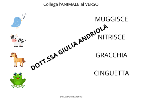 VERSI DEGLI ANIMALI