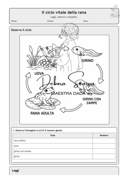 Il ciclo vitale della rana