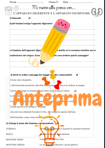 Verifica apparato digerente e apparato escretore