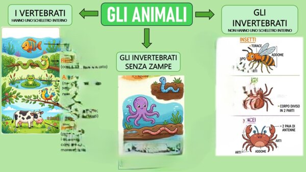 ANIMALI: Vertebrati e Invertebrati