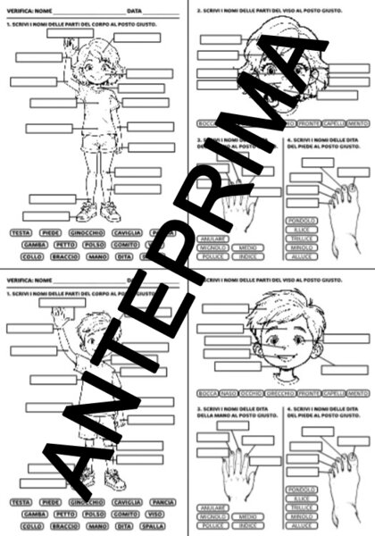 VERIFICA SULLE PARTI DEL CORPO, DELLE DITA DELLA MANO E DELLE DITA DEL PIEDE - CLASSE PRIMA E/O SECONDA - SCUOLA PRIMARIA