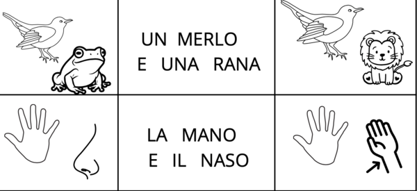 Lettura e comprensione prime frasi