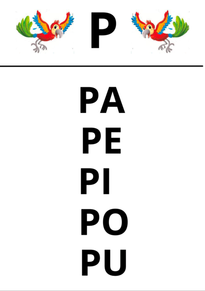Sillabe P N R S