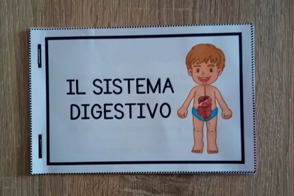 Il Sistema Digestivo - Flip Book